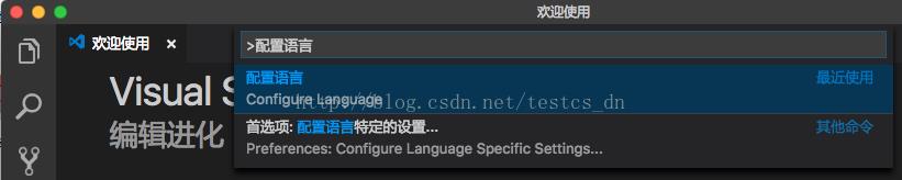 vscode中文版